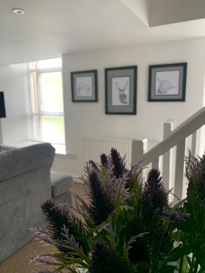 Cliffview Apartment Arbroath Εξωτερικό φωτογραφία
